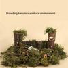 Natural Pet Toy Grinding Cleaning Chew Toy Small Pets Toys For Hamster Rabbit Grinding Products Made of Apple Tree Wood