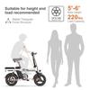 ENGWE T14 Electric Bike 250W Brushless Motor 48V10AH Lithium Battery Aluminum Alloy E-Bike 14 Inch Tires Snow Electric Bicycle