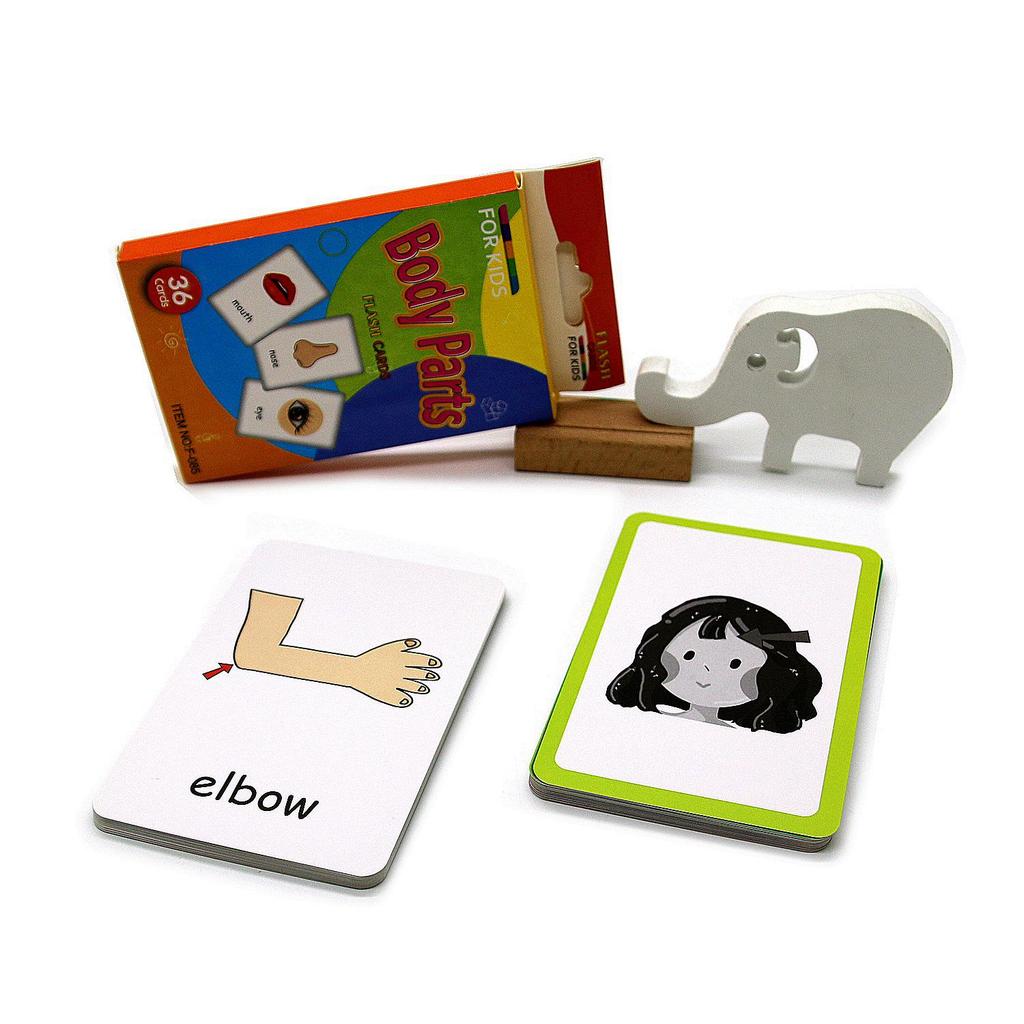 Tear-Resistant Animal Cognition Flashcards: Early Education Aids for Children
