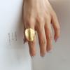 Fashion French Exaggerated Irregular Brushed Matte Ring Women Index Finger Ring Titanium Steel Ring Women Jewelry Accessory