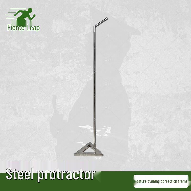 Hanyue Posture Correction Training Aids