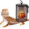 E27 Haustier Heizlampe für Schildkröte Schlange Echse Infrarot Keramikstrahler Wärme Licht 50W/75W/100W Reptilienlampe Reptilienlicht EU-Stecker