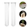 4 Stück Hydroponische Vase Blumenarrangement Pflanzenvermehrungsröhrchen Kleine Vasen Starter Glas Test