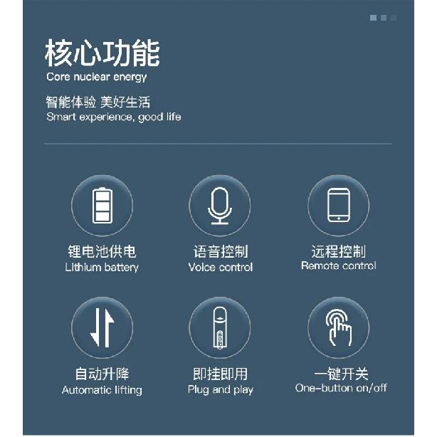 Tuya WiFi Bluetooth Zigbee Smart Motorized Chain Roller Blinds Remote Voice Control Shade Shutter Drive Motor Works Alexa Google