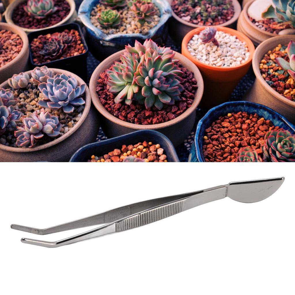 D5 Stainless Steel Garden Bonsai Long Tweezers with Crescent Moon Spatula Head for Potted Loosening Soil Planing Grass Curved