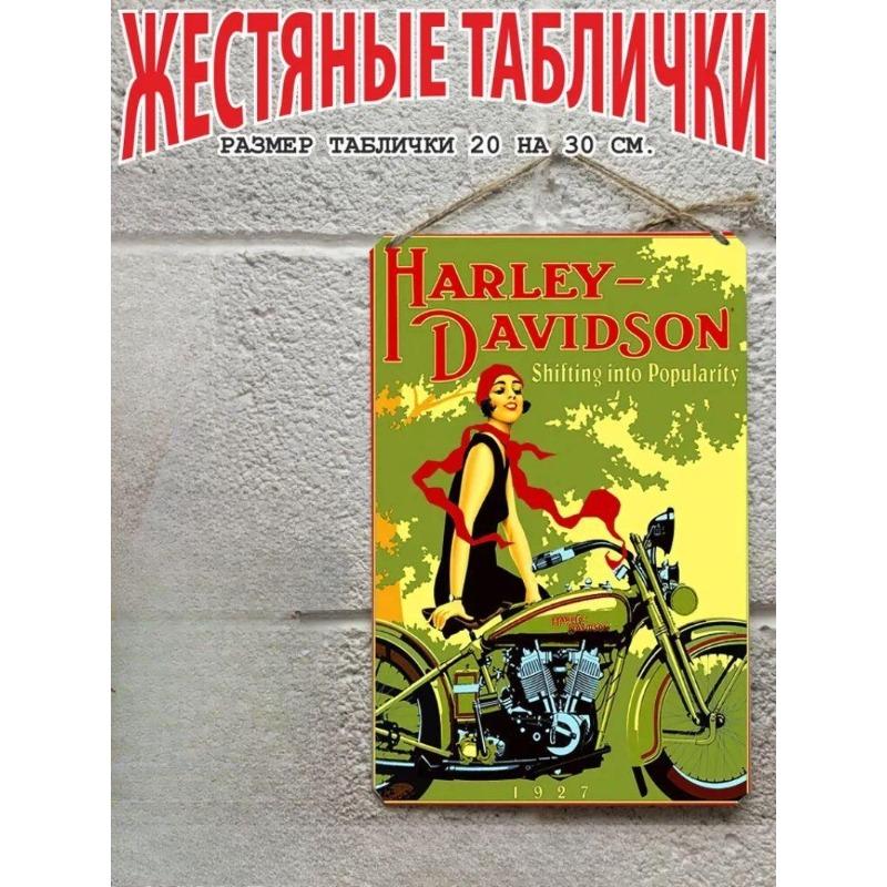 Motorcycle Metal Wall Art 20x30cm, Vintage Bike Decor Plaque