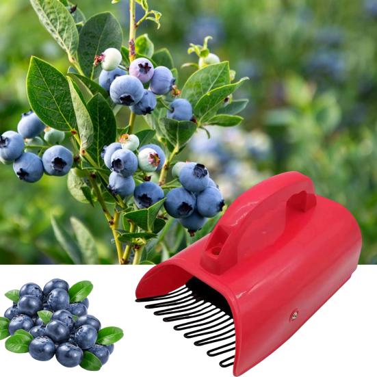 Yousheng Blueberry Picker Berry Picker with Fruit Collection Bin Gardening Harvest Tool Blueberry Rake Scoop for Efficient Harvesting of Raspberries