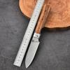 5,5-Zoll-Klappküchenmesser Outdoor-Gemüsemesser Praktisches Taschenpicknick-Werkzeugmesser Petty Knife Japan Farbe Holzgriff