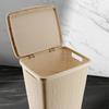 CURVER Cesto per Bucato 58 L