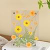 1PC Acryl Foto Rahmen Transparent Handgemachte Rahmen DIY Getrocknete Blume Display Stand 6-Zoll 13,7x18,7 cm