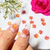 [ Resin Maple Leaves] Resin Two-Color Maple Leaves | DIY Materials, Handmade Nail Art, Jewelry Making, Autumn Accessories