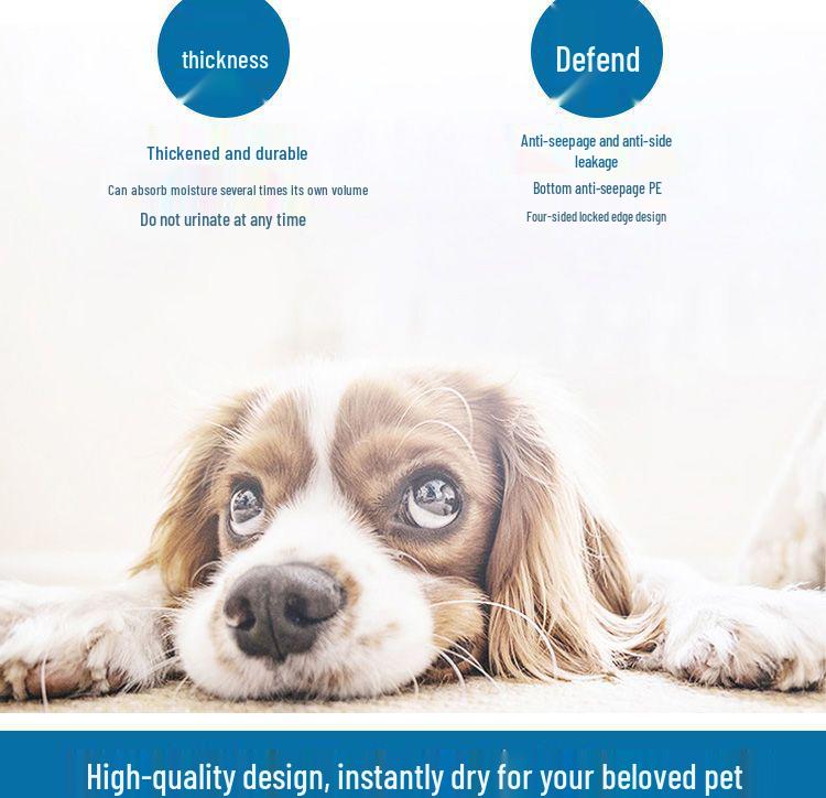 Absorbent Dog Training Pads - Thickened, Deodorizing Pet Urine Pads, Teddy Diapers for Dogs.