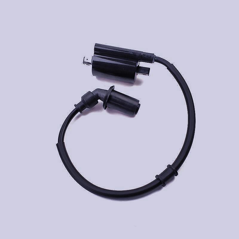 

Compatible Ignition Coil for Yuexing HJ125T-9C-D and Yuzuan HJ125T-10A-C-E-16D Tianying Models