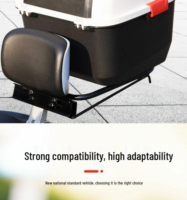 Electric Bike Rear Trunk with Battery Storage & Backrest for Aima, TaiLing, LvYuan