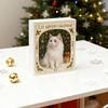Christmas Cat Lover Advent Calendar PVC Ornament for Tree Decor 24-Day Countdown Box Gift for Kids Family