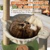 Wooden cat scratching column vertical small cat tree tower with hammock household pet cat climbing integrated frame to relieve boredom toys