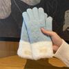 Winter Korean Version of Ins Knitted Wool Gloves for Female Students Riding Thickened Warm Double Layer Touch Screen Gloves