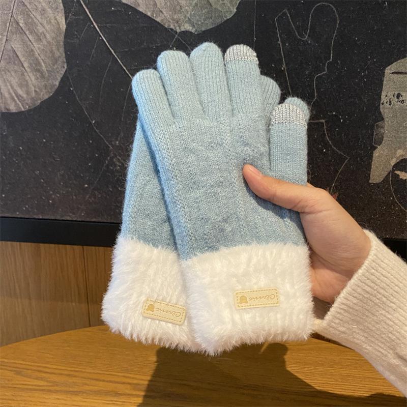 Winter Korean Version of Ins Knitted Wool Gloves for Female Students Riding Thickened Warm Double Layer Touch Screen Gloves