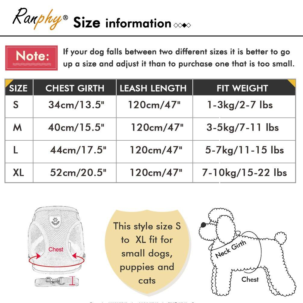 RANPHY Mesh Dog Harness with Reflective Leash Set for Extra and Perfect for and and Available in 4 Colors Small, Small, Puppies, Walks, Training,