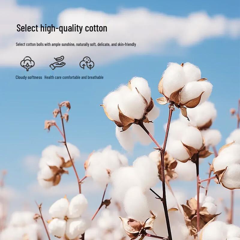 Yiershuang Women's 7A Antibacterial Briefs (3-Pack)