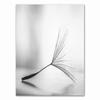Fiore di tarassaco dipinto su tela quadri moderni in bianco e nero per la decorazione domestica soggiorno poster da parete astratto senza cornice