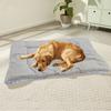 Dog Mat Comfortable Soft Warm Pet Bed Gray Corduroy PV Fleece Washable Kennel Pad for Dogs Cats Sleeping