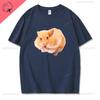 Hamster with A Mouth Full of Food Graphic T Shirts Women Kawaii Funny Cartoon Tshirt Casual High Quality Cotton Unisex Shortsleev