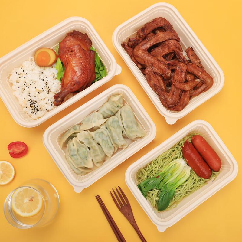 Biodegradable Compartmented Lunch Box