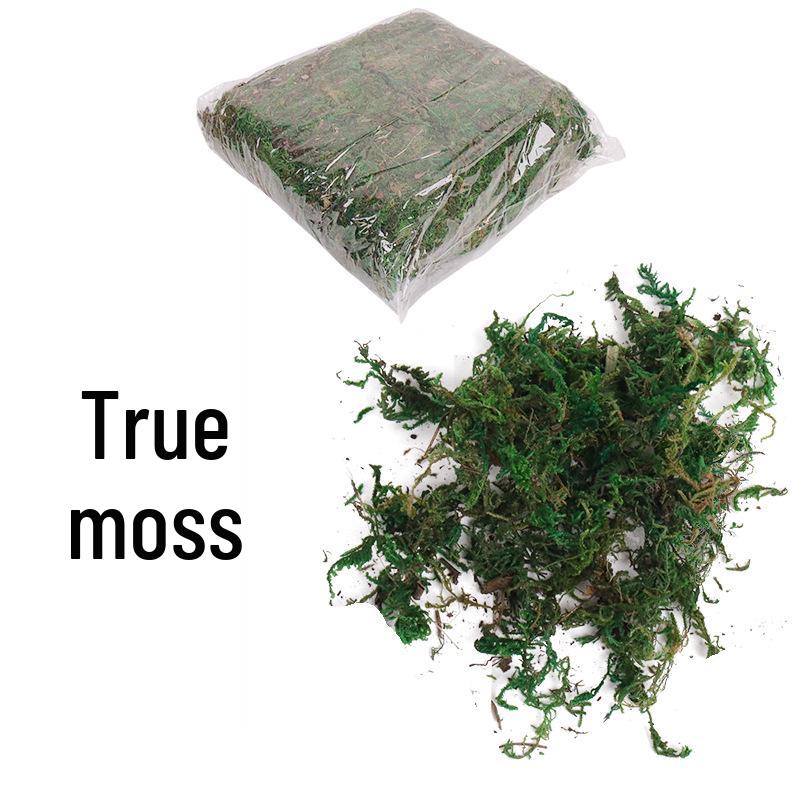 Artificial Moss Grass Mat for Window Display, Potted Plant, and Landscaping Decoration