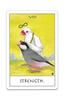 Tarot Cards Fortune Telling Bird Tarot with Japanese Commentary Illustrated by NORISAN 78-Piece "Pocket Manual"