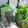 Reptiles Terrarium Enclosure Acrylic Reptile Habitat Terrarium Breeding Box Transparent Spider Scorpion Bearded Dragon Habitat