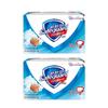 Safeguard Sea Salt Fresh Clean Scent Soap 100g