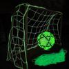 Reinforced fluorescent goal net, glowing in the dark, 180x120 cm