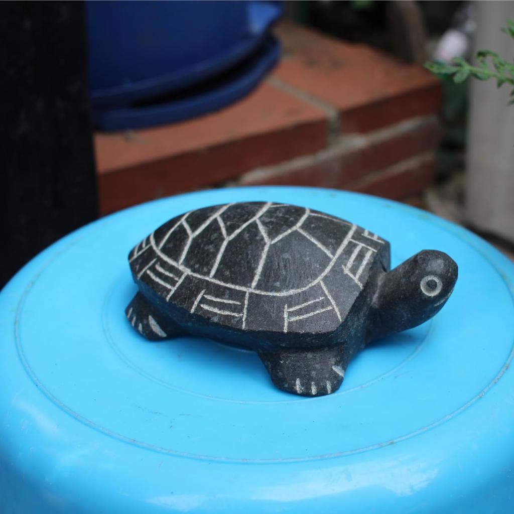 Hand-carved Natural Stone Turtle Figurine for Gardening, Aquariums, and Feng Shui. Cute, Lucky Charm, Gift, Small Animal Ornament (Large)
