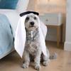 Adjustable Saudi Arabia Pet Hat Soft Pet Headwear Cat Headscarf Cat Cosplay Hat  for Dogs Cats