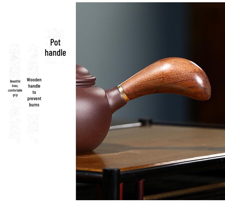 Handmade Yixing Purple Clay Teapot Set - Antique-Style Tangyu Side Handle