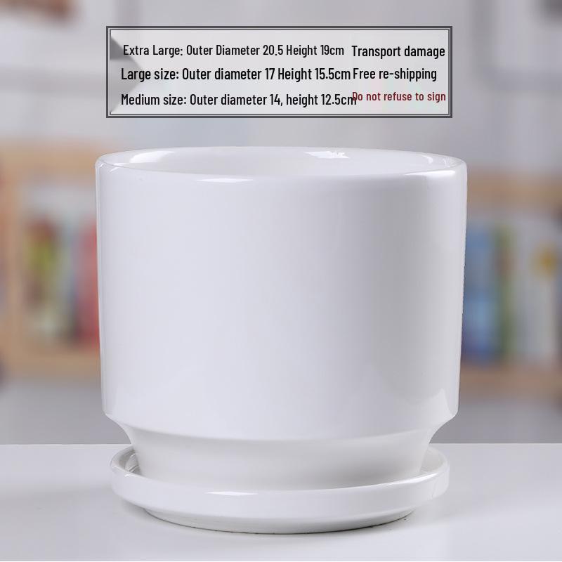Simple White Ceramic Flower Pot with Base for Indoor Plants - Available in Large and Extra Large