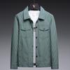 Spring and Autumn Thin Jacket Business Leisure Slim Youth Lapel Striped Jacket