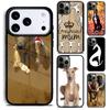 Telefon kapları – Smartphone Bumper Kılıflar