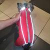 Male Female Dog Jumpsuit Winter Pet Overalls for Small Dogs Warm Thick Puppy Cat Clothes for Chihuahua Dachshund Maltese