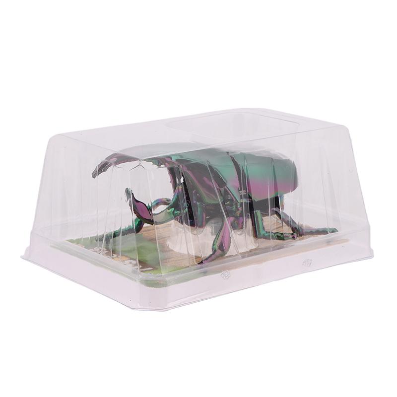 Wind Up Beetle Bionic Toys Creative Prankster Animated Insect Toy Model Beetle Children'S Battle Plastic Animals Wind Up Toy
