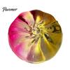 High End Home Accent Bun Squeeze Toys for Stress Relief, Soft TPR Sensory Auspicious Prosperity Gift Fidget Toys, Colorful Decompression Office