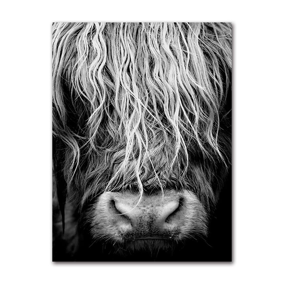 Cattle Print On Canvas Wall Art Pictures Animal Painting for Living Room Home Decor Modern Abstract Scottish Highlander