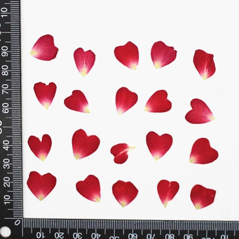 

Heart Shape Dried Pressed Flower Locket, Wedding Card Decoration, Rose Petal, 200Pcs червоний