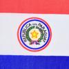 Paraguay 10 piezas de banderas para agitar a mano de 14*21cm