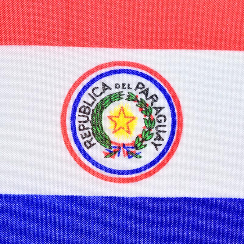 Paraguay 10 piezas de banderas para agitar a mano de 14*21cm