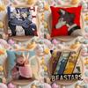 Cartoon BEASTARS Cushion Cover Home & Car Multi-Scene Pillow Cover - Reversible, Soft & Durable for Daily Use