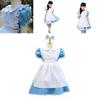 Exquisitely Crafted Alice In Wonderland Costume Perfect For Halloween Parties