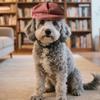 Breathable Pet Beret Hat For Costume Event Adjustable Drawstrings Dog Cats Headwears Cosplay Party Celebration Essential