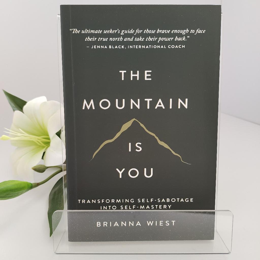 The Mountain Is You: Transforming Self-Sabotage Into Self-Mastery English Books Birthday Gifts